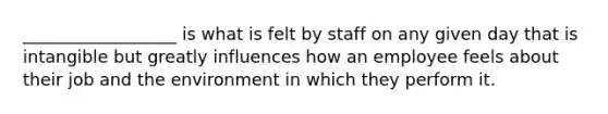 __________________ is what is felt by staff on any given day that is intangible but greatly influences how an employee feels about their job and the environment in which they perform it.