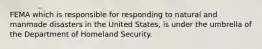 FEMA which is responsible for responding to natural and manmade disasters in the United States, is under the umbrella of the Department of Homeland Security.