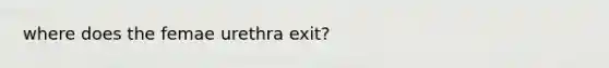 where does the femae urethra exit?