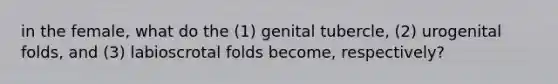 in the female, what do the (1) genital tubercle, (2) urogenital folds, and (3) labioscrotal folds become, respectively?