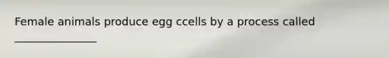 Female animals produce egg ccells by a process called _______________