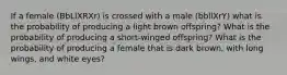 If a female (BbLlXRXr) is crossed with a male (bbllXrY) what is the probability of producing a light brown offspring? What is the probability of producing a short-winged offspring? What is the probability of producing a female that is dark brown, with long wings, and white eyes?