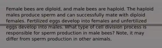 Female bees are diploid, and male bees are haploid. The haploid males produce sperm and can successfully mate with diploid females. Fertilized eggs develop into females and unfertilized eggs develop into males. What type of <a href='https://www.questionai.com/knowledge/kjHVAH8Me4-cell-division' class='anchor-knowledge'>cell division</a> process is responsible for sperm production in male bees? Note, it may differ from sperm production in other animals.