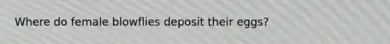 Where do female blowflies deposit their eggs?
