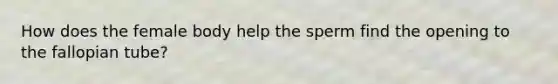 How does the female body help the sperm find the opening to the fallopian tube?