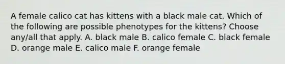 A female calico cat has kittens with a black male cat. Which of the following are possible phenotypes for the kittens? Choose any/all that apply. A. black male B. calico female C. black female D. orange male E. calico male F. orange female