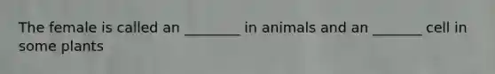 The female is called an ________ in animals and an _______ cell in some plants