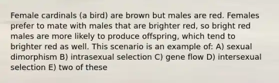 Female cardinals (a bird) are brown but males are red. Females prefer to mate with males that are brighter red, so bright red males are more likely to produce offspring, which tend to brighter red as well. This scenario is an example of: A) sexual dimorphism B) intrasexual selection C) gene flow D) intersexual selection E) two of these