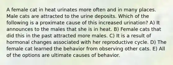 A female cat in heat urinates more often and in many places. Male cats are attracted to the urine deposits. Which of the following is a proximate cause of this increased urination? A) It announces to the males that she is in heat. B) Female cats that did this in the past attracted more males. C) It is a result of hormonal changes associated with her reproductive cycle. D) The female cat learned the behavior from observing other cats. E) All of the options are ultimate causes of behavior.