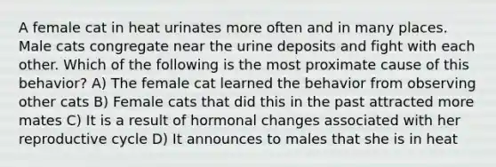 A female cat in heat urinates more often and in many places. Male cats congregate near the urine deposits and fight with each other. Which of the following is the most proximate cause of this behavior? A) The female cat learned the behavior from observing other cats B) Female cats that did this in the past attracted more mates C) It is a result of hormonal changes associated with her reproductive cycle D) It announces to males that she is in heat