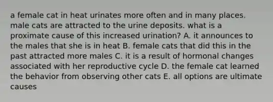 a female cat in heat urinates more often and in many places. male cats are attracted to the urine deposits. what is a proximate cause of this increased urination? A. it announces to the males that she is in heat B. female cats that did this in the past attracted more males C. it is a result of hormonal changes associated with her reproductive cycle D. the female cat learned the behavior from observing other cats E. all options are ultimate causes