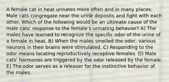 A female cat in heat urinates more often and in many places. Male cats congregate near the urine deposits and fight with each other. Which of the following would be an ultimate cause of the male cats' response to the female's urinating behavior? A) The males have learned to recognize the specific odor of the urine of a female in heat. B) When the males smelled the odor, various neurons in their brains were stimulated. C) Responding to the odor means locating reproductively receptive females. D) Male cats' hormones are triggered by the odor released by the female. E) The odor serves as a releaser for the instinctive behavior of the males.