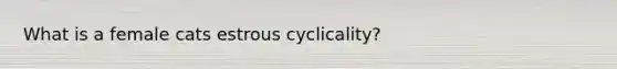 What is a female cats estrous cyclicality?