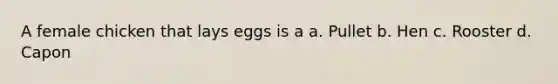 A female chicken that lays eggs is a a. Pullet b. Hen c. Rooster d. Capon