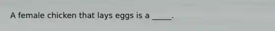 A female chicken that lays eggs is a _____.