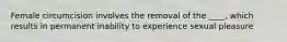 Female circumcision involves the removal of the ____, which results in permanent inability to experience sexual pleasure