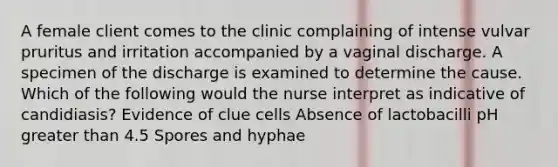 A female client comes to the clinic complaining of intense vulvar pruritus and irritation accompanied by a vaginal discharge. A specimen of the discharge is examined to determine the cause. Which of the following would the nurse interpret as indicative of candidiasis? Evidence of clue cells Absence of lactobacilli pH greater than 4.5 Spores and hyphae