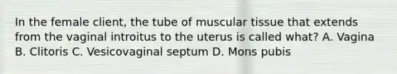 In the female client, the tube of muscular tissue that extends from the vaginal introitus to the uterus is called what? A. Vagina B. Clitoris C. Vesicovaginal septum D. Mons pubis