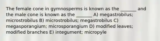 The female cone in gymnosperms is known as the _______ and the male cone is known as the _______ A) megastrobilus; microstrobilus B) microstrobilus; megastrobilus C) megasporangium; microsporangium D) modified leaves; modified branches E) integument; micropyle