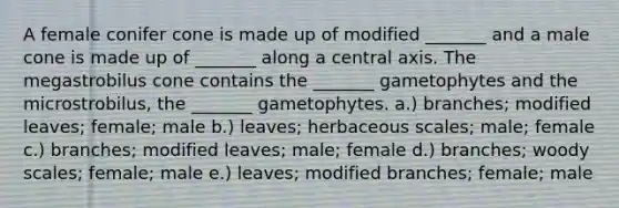 A female conifer cone is made up of modified _______ and a male cone is made up of _______ along a central axis. The megastrobilus cone contains the _______ gametophytes and the microstrobilus, the _______ gametophytes. a.) branches; modified leaves; female; male b.) leaves; herbaceous scales; male; female c.) branches; modified leaves; male; female d.) branches; woody scales; female; male e.) leaves; modified branches; female; male