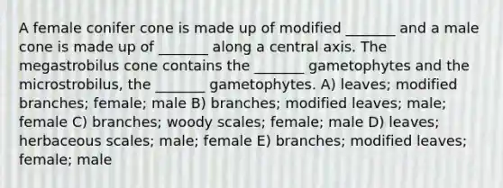 A female conifer cone is made up of modified _______ and a male cone is made up of _______ along a central axis. The megastrobilus cone contains the _______ gametophytes and the microstrobilus, the _______ gametophytes. A) leaves; modified branches; female; male B) branches; modified leaves; male; female C) branches; woody scales; female; male D) leaves; herbaceous scales; male; female E) branches; modified leaves; female; male