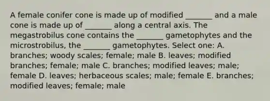 A female conifer cone is made up of modified _______ and a male cone is made up of _______ along a central axis. The megastrobilus cone contains the _______ gametophytes and the microstrobilus, the _______ gametophytes. Select one: A. branches; woody scales; female; male B. leaves; modified branches; female; male C. branches; modified leaves; male; female D. leaves; herbaceous scales; male; female E. branches; modified leaves; female; male