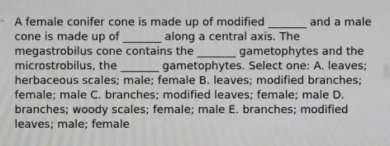 A female conifer cone is made up of modified _______ and a male cone is made up of _______ along a central axis. The megastrobilus cone contains the _______ gametophytes and the microstrobilus, the _______ gametophytes. Select one: A. leaves; herbaceous scales; male; female B. leaves; modified branches; female; male C. branches; modified leaves; female; male D. branches; woody scales; female; male E. branches; modified leaves; male; female