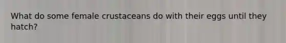 What do some female crustaceans do with their eggs until they hatch?