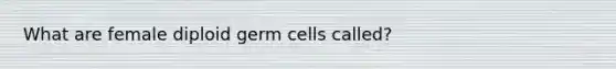 What are female diploid germ cells called?