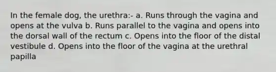 In the female dog, the urethra:- a. Runs through the vagina and opens at the vulva b. Runs parallel to the vagina and opens into the dorsal wall of the rectum c. Opens into the floor of the distal vestibule d. Opens into the floor of the vagina at the urethral papilla