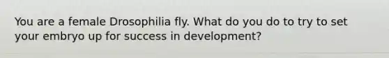 You are a female Drosophilia fly. What do you do to try to set your embryo up for success in development?