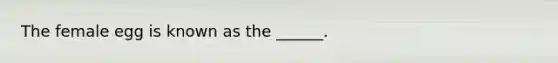 The female egg is known as the ______.