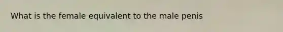 What is the female equivalent to the male penis