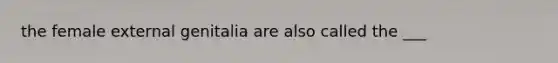 the female external genitalia are also called the ___