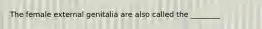 The female external genitalia are also called the ________