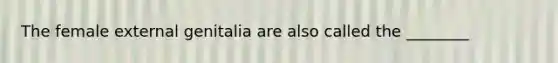 The female external genitalia are also called the ________