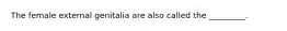 The female external genitalia are also called the _________.