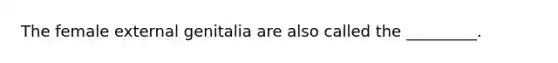 The female external genitalia are also called the _________.