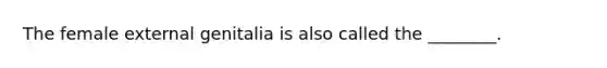 The female external genitalia is also called the ________.