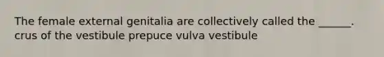 The female external genitalia are collectively called the ______. crus of the vestibule prepuce vulva vestibule