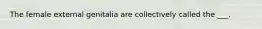 The female external genitalia are collectively called the ___.