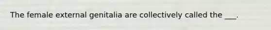 The female external genitalia are collectively called the ___.