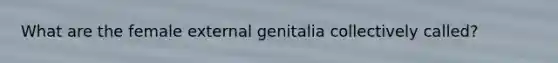 What are the female external genitalia collectively called?