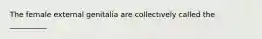 The female external genitalia are collectively called the __________