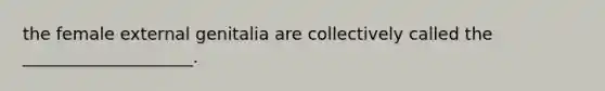 the female external genitalia are collectively called the ____________________.