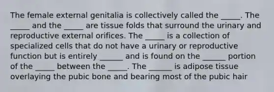 The female external genitalia is collectively called the _____. The _____ and the _____ are tissue folds that surround the urinary and reproductive external orifices. The _____ is a collection of specialized cells that do not have a urinary or reproductive function but is entirely ______ and is found on the ______ portion of the _____ between the _____. The ______ is adipose tissue overlaying the pubic bone and bearing most of the pubic hair