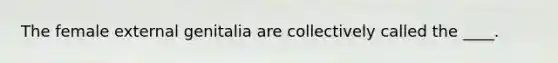 The female external genitalia are collectively called the ____.