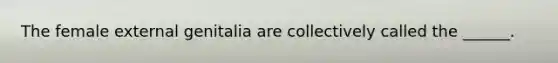 The female external genitalia are collectively called the ______.