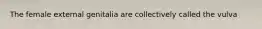 The female external genitalia are collectively called the vulva