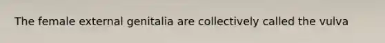 The female external genitalia are collectively called the vulva